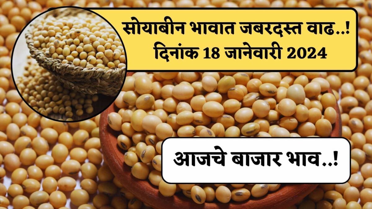 Soyabean price 19 january 2024