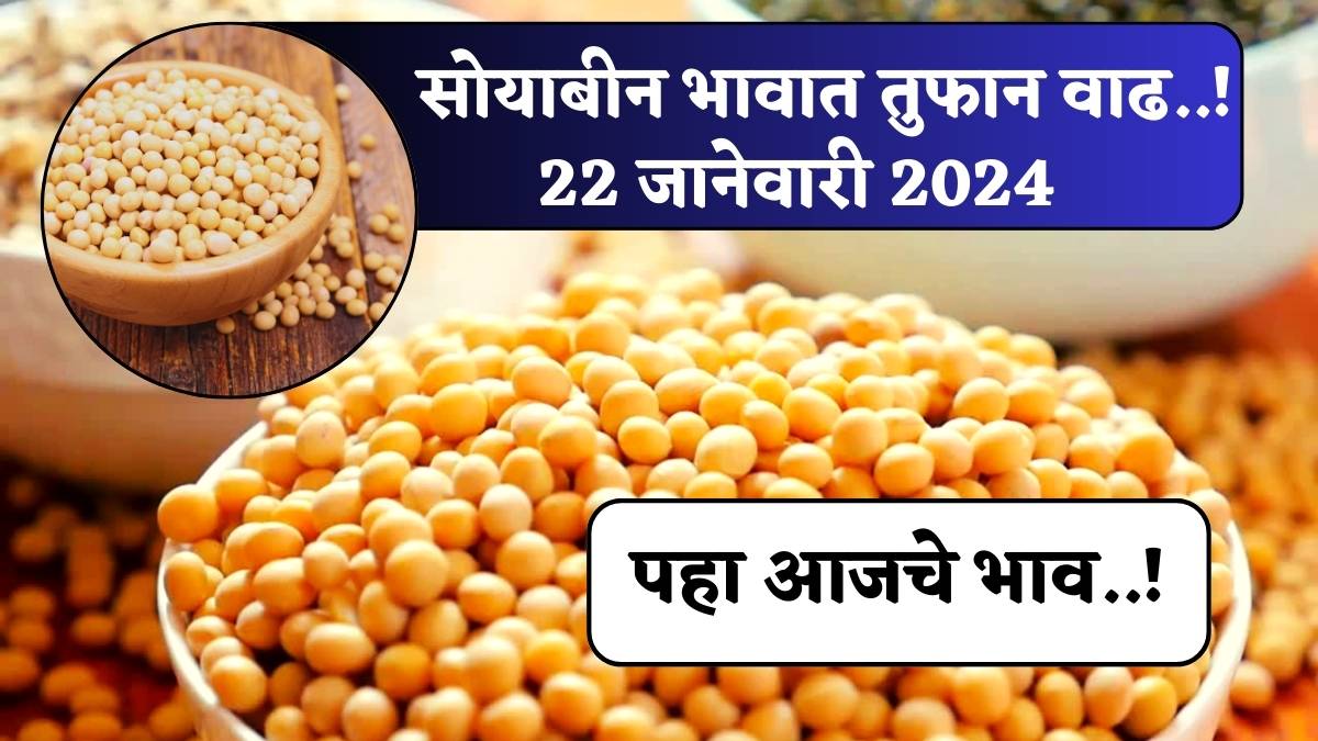 Soyabean Rate Today 22 January