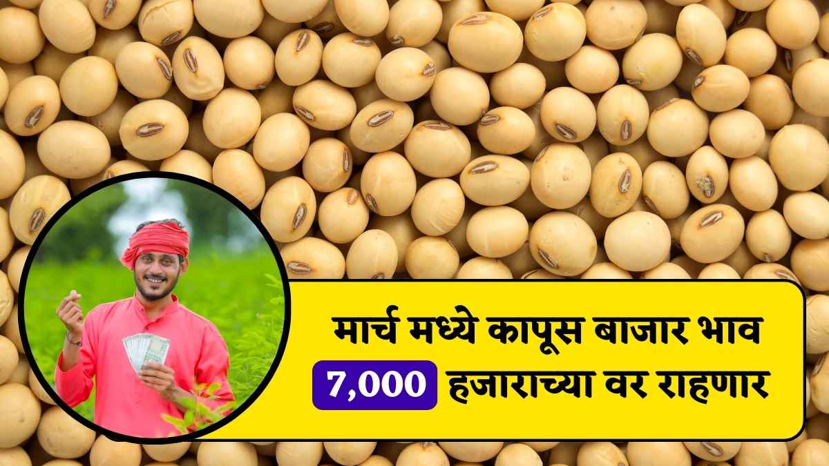 Soyabean rate 4 February 2024